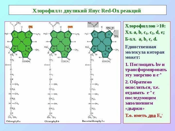   Хлорофилл: двуликий Янус Red-Ox реакций  Хлорофиллов  10: Хл.  а,