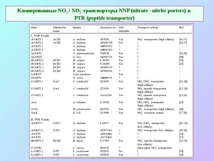 Клонированные NO 3 - / NO 2 - транспортеры NNP ( nitrate –nitrite porters)