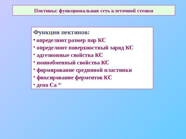   Пектины: функциональная сеть клеточной стенки Функции пектинов:  •  определяют размер