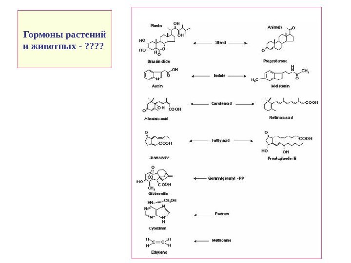   Гормоны растений и животных - ? ?  