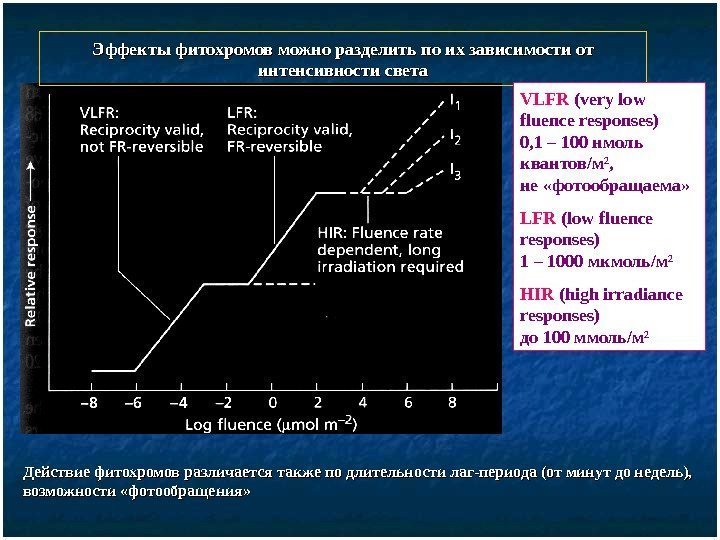   Эффекты фитохромов можно разделить по их зависимости от интенсивности света VLFR (very