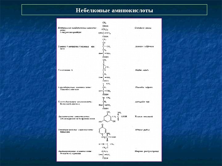  Небелковые аминокислоты 