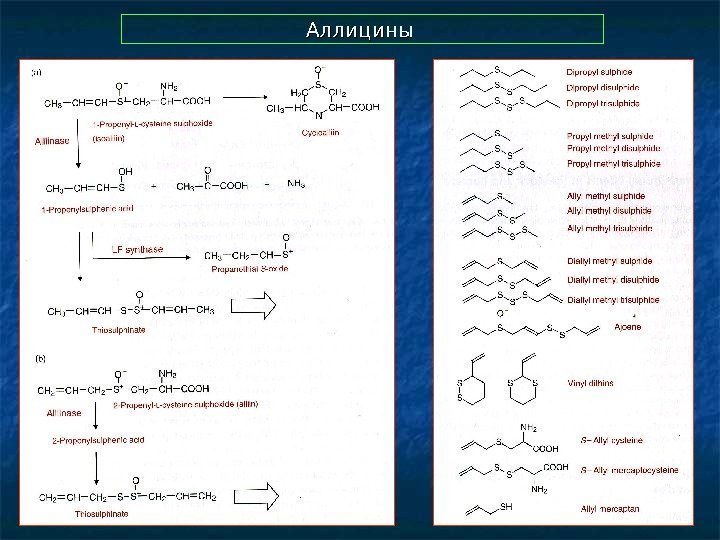  Аллицины 