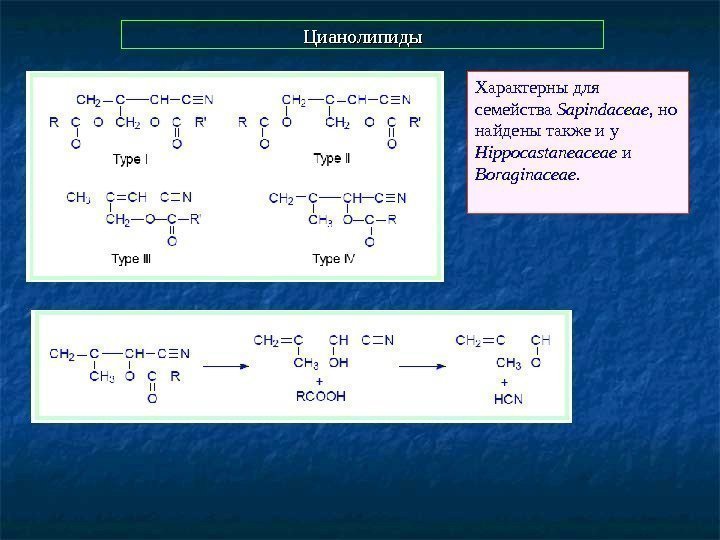  Цианолипиды Характерны для семейства Sapindaceae,  но найдены также и у Hippocastaneaceae и