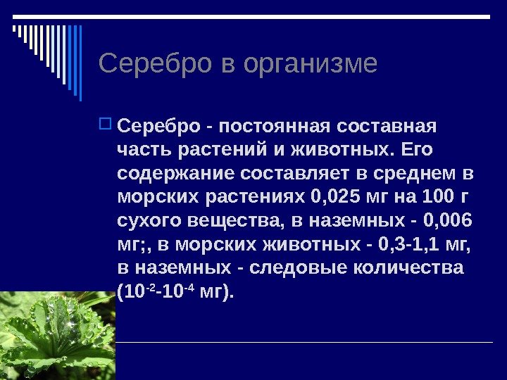 Серебро в организме Серебро - постоянная составная часть растений и животных. Его содержание составляет