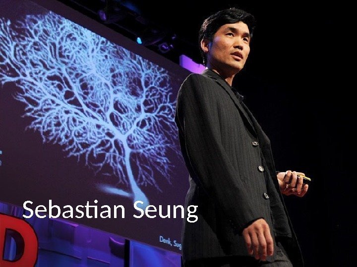 Sebastian Seung 
