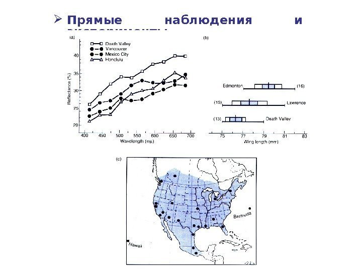  Прямые наблюдения и эксперименты  