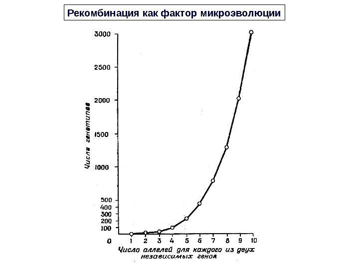 Рекомбинация как фактор микроэволюции 