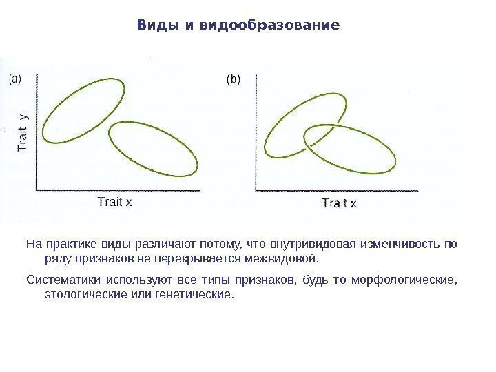 Виды и видообразование На практике виды различают потому,  что внутривидовая изменчивость по ряду