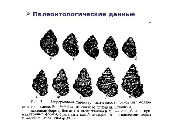  Палеонтологические данные 