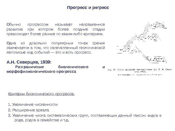 Прогресс и регресс Обычно прогрессом называют направленное развитие при котором более поздние стадии превосходят