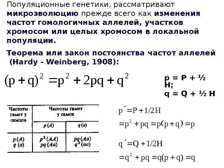 Популяционные генетики, рассматривают микроэволюцию прежде всего как изменения частот гомологичных аллелей, участков хромосом или