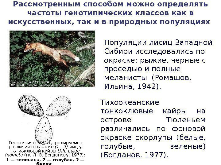 Рассмотренным способом можно определять частоты генотипических классов как в искусственных, так и в природных