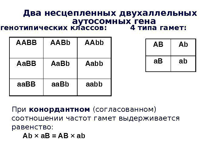 AABB AABb AAbb Aa. BB Aa. Bb Aabb aa. BB aa. Bb aabb. Два