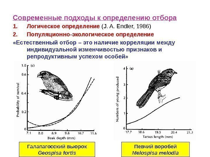 Современные подходы к определению отбора 1. Логическое определение (J. A. Endler, 1986) 2. Популяционно-экологическое