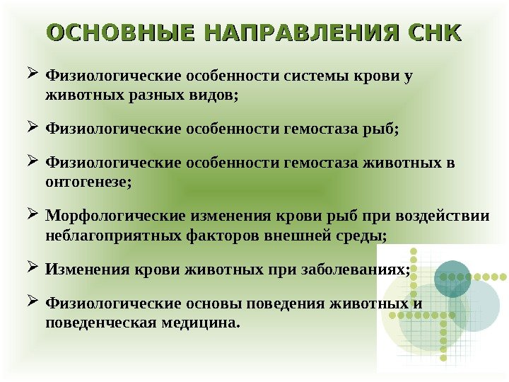 ОСНОВНЫЕ НАПРАВЛЕНИЯ СНК Физиологические особенности системы крови у животных разных видов;  Физиологические особенности