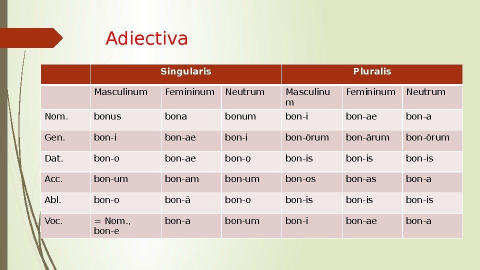 Adiectiva Singularis Pluralis Masculinum Femininum Neutrum Masculinu m Femininum Neutrum Nom. bonus bona bonum