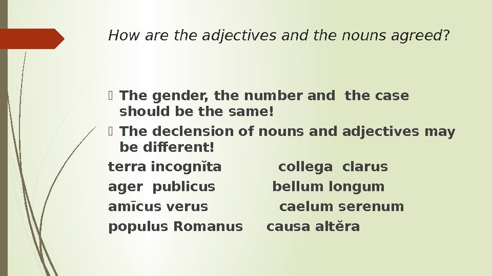 How are the adjectives and the nouns agreed ?  The gender, the number