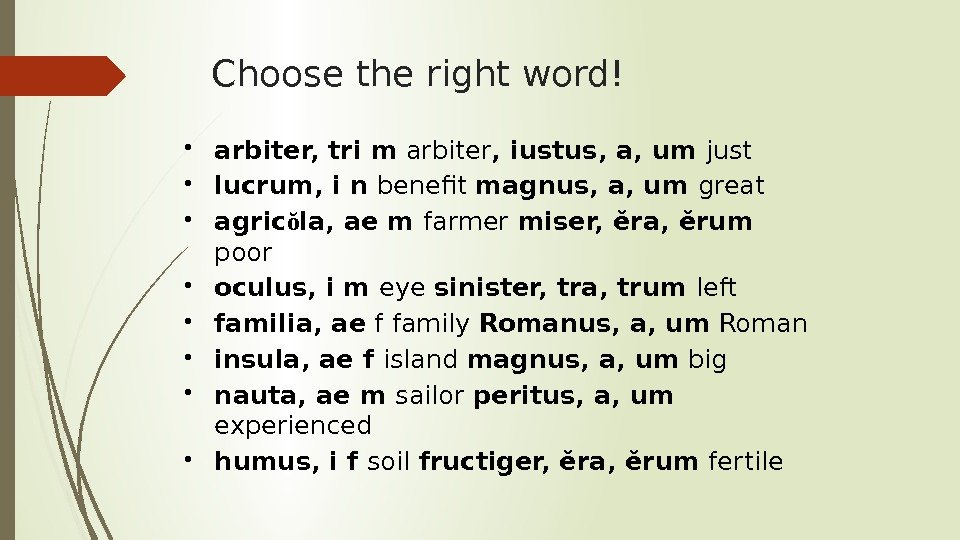 Choose the right word! arbiter, tri m arbiter , iustus, a, um just lucrum,