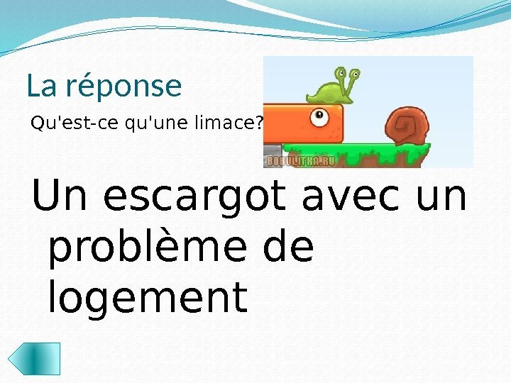 La réponse Qu'est-ce qu'une limace?  Un escargot avec un problème de logement 