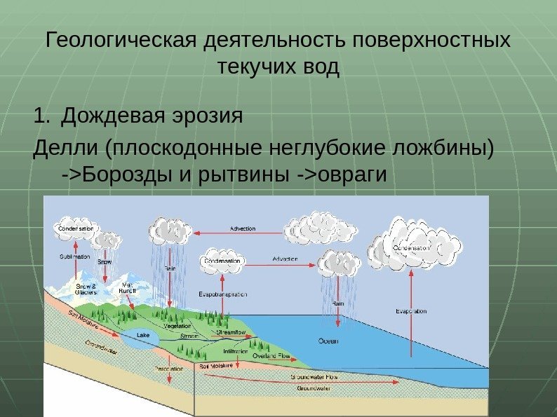 Геологическая деятельность поверхностных текучих вод 1. Дождевая эрозия Делли (плоскодонные неглубокие ложбины)  -