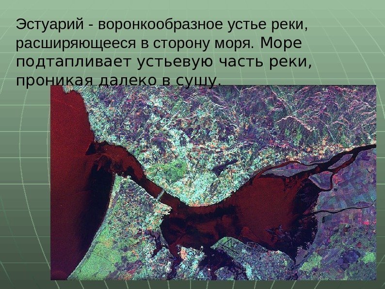 Эстуарий - воронкообразное устье реки,  расширяющееся в сторону моря.  Море подтапливает устьевую