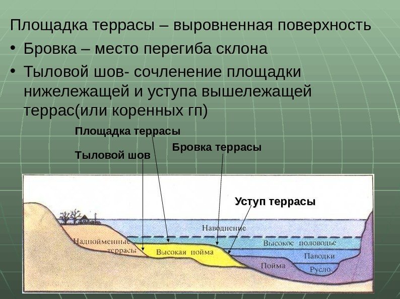 Площадка террасы – выровненная поверхность • Бровка – место перегиба склона • Тыловой шов-