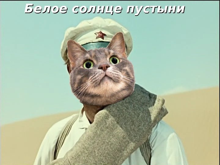   Белое солнце пустыни  