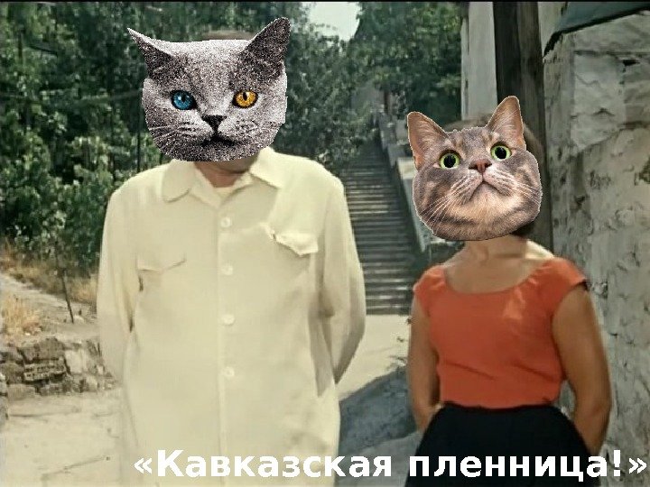   «Кавказская пленница!» 