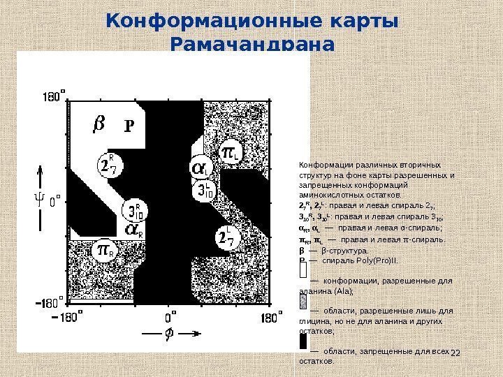 22 Конформационные карты Рамачандрана Конформации различных вторичных структур на фоне карты разрешенных и запрещенных