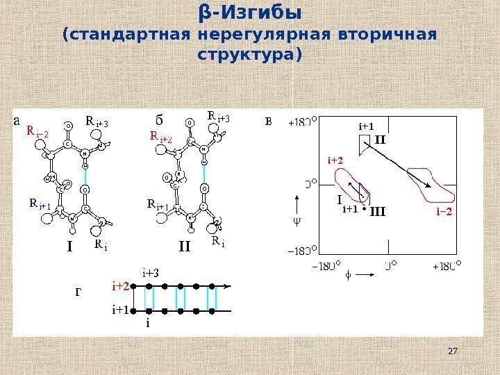 27β -Изгибы (стандартная нерегулярная вторичная структура) 