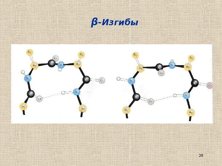 28β -Изгибы 