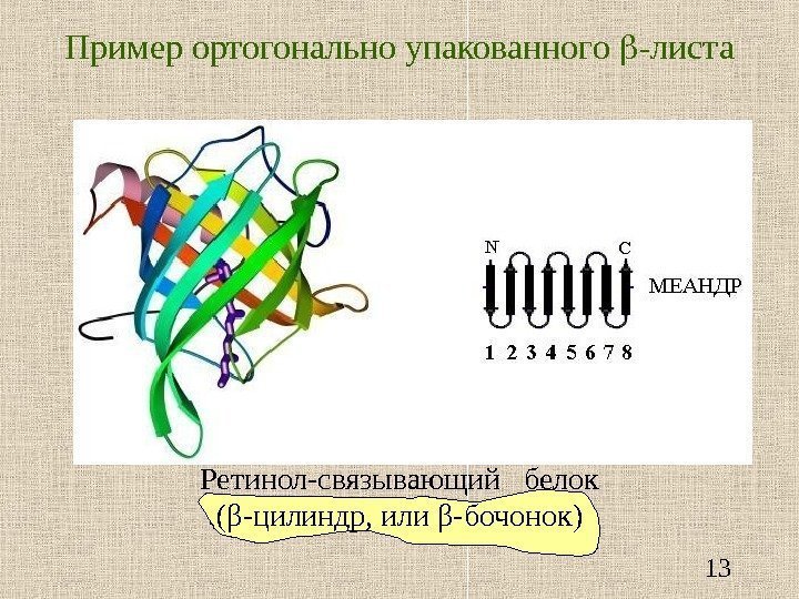   13 Пример ортогонально упакованного  -листа Ретинол-связывающий  белок ( β -цилиндр,