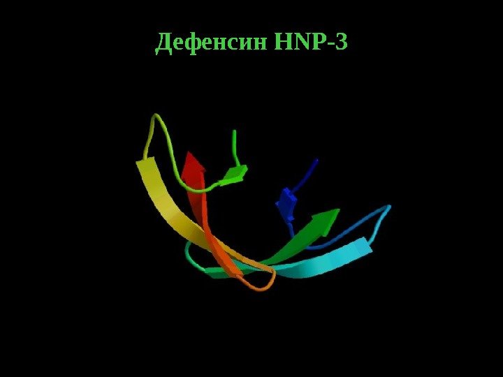   25 Дефенсин HNP-3 