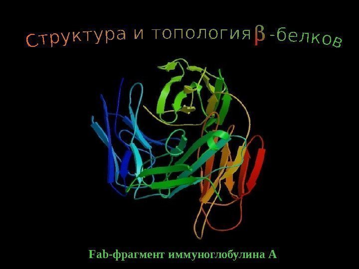   6 Fab- фрагмент иммуноглобулина А 