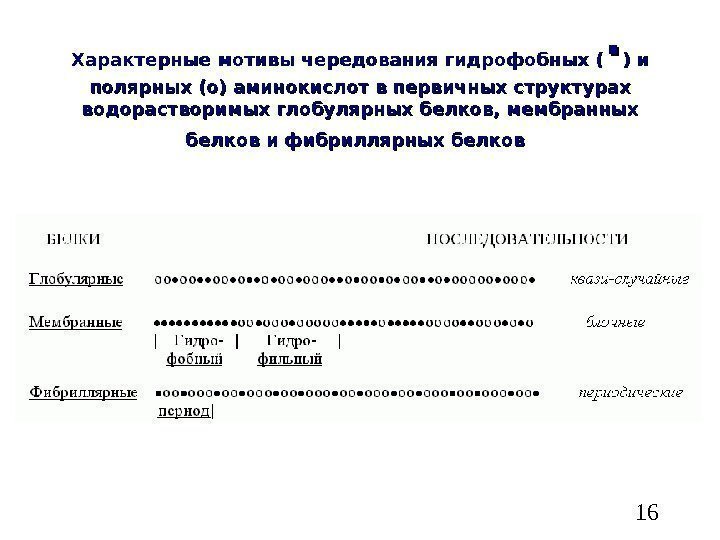   16 Характерные мотивы чередования гидрофобных ( ·· ) и полярных (о) аминокислот