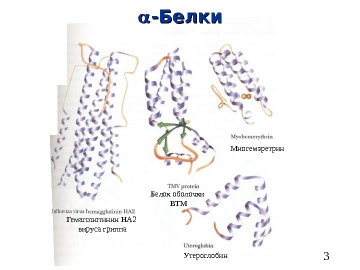   3 -- Белки Гемагглютинин HA 2  вируса гриппа Белок оболочки ВТМ