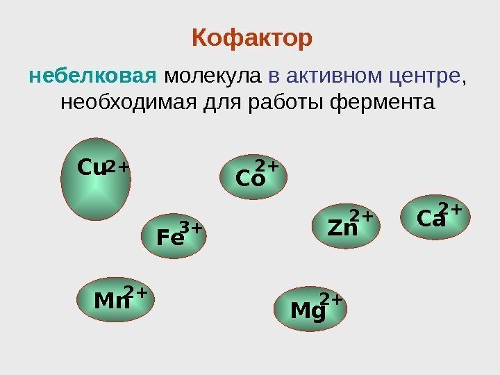 Cu   2+ Co 2+ Zn 2+ Ca 2+ Mg 2+ Mn 2+