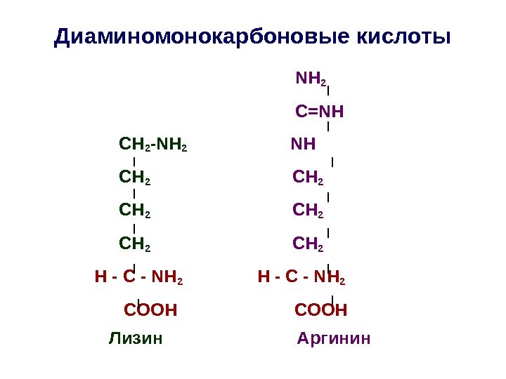 Диаминомонокарбоновые кислоты     NH 2      C=NH