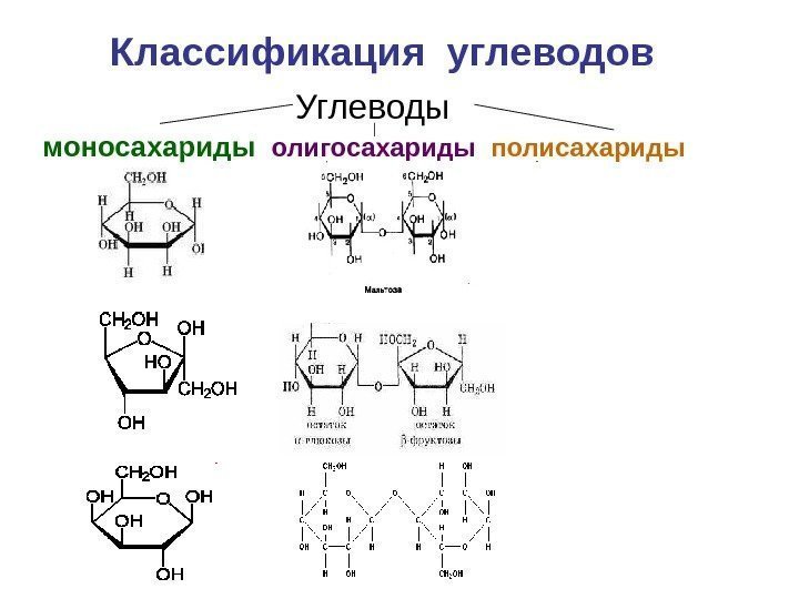 Классификация углеводов     Углеводы моносахариды олигосахариды  полисахариды  