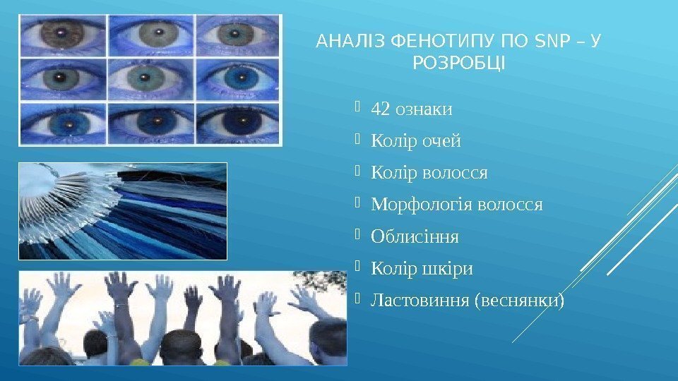 АНАЛІЗ ФЕНОТИПУ ПО SNP – У РОЗРОБЦІ 42 ознаки  Колір очей Колір волосся