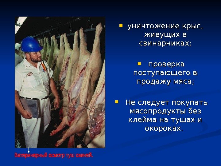  уничтожение крыс,  живущих в свинарниках; проверка поступающего в продажу мяса; Не следует