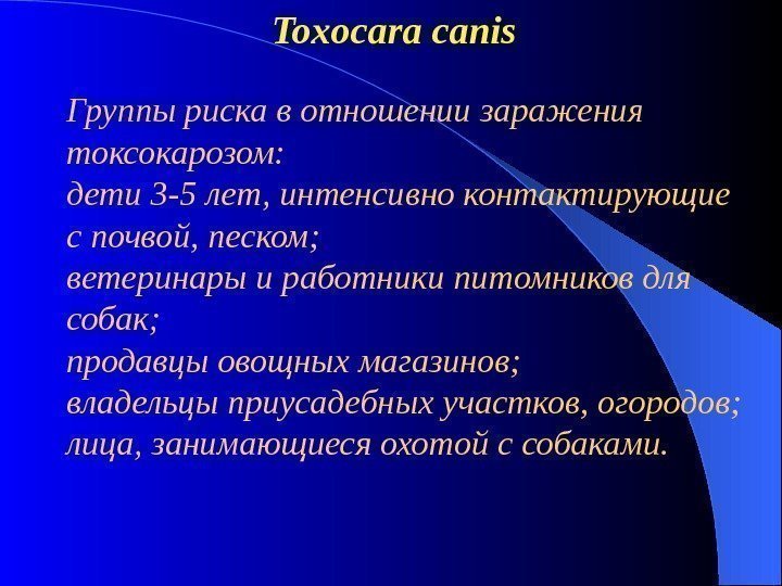      Toxocara canis Группы риска в отношении заражения токсокарозом: 