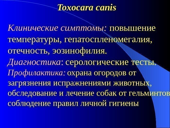      Toxocara canis Клинические симптомы:  повышение температуры, гепатоспленомегалия, 