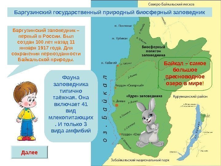   Баргузинский заповедник – первый в России. Был создан 100 лет назад 11