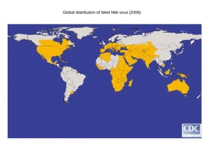   Global distribution of West Nile virus (2006)  