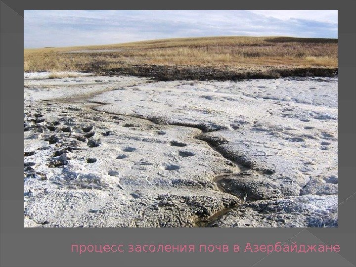 процесс засоления почв в Азербайджане 