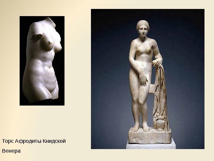 Торс Афродиты Книдской Венера 