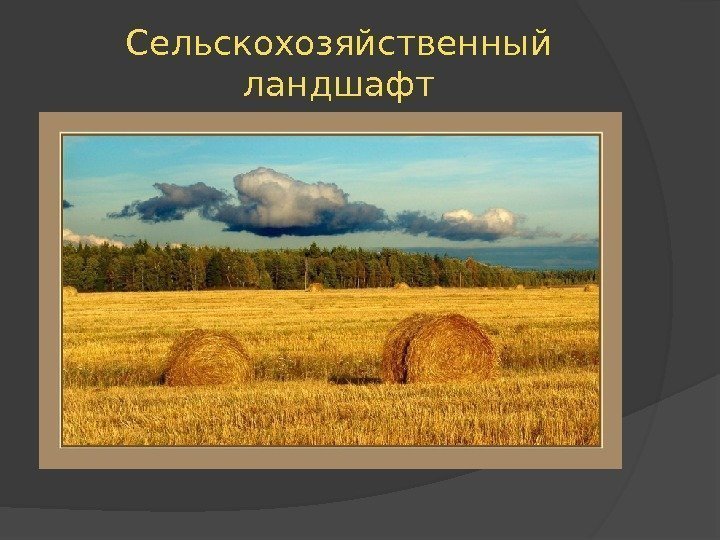 Сельскохозяйственный ландшафт 