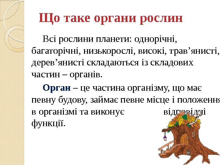 Що таке органи рослин Всі рослини планети: однорічні,  багаторічні, низькорослі, високі, трав’янисті, 